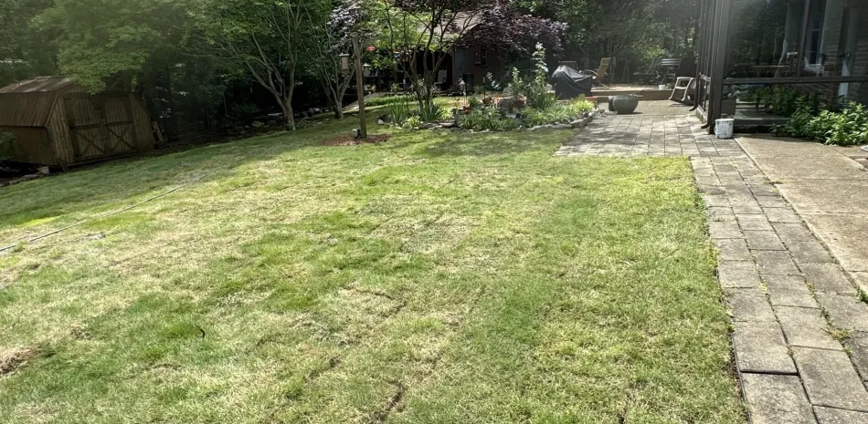 landscaping install services athens al