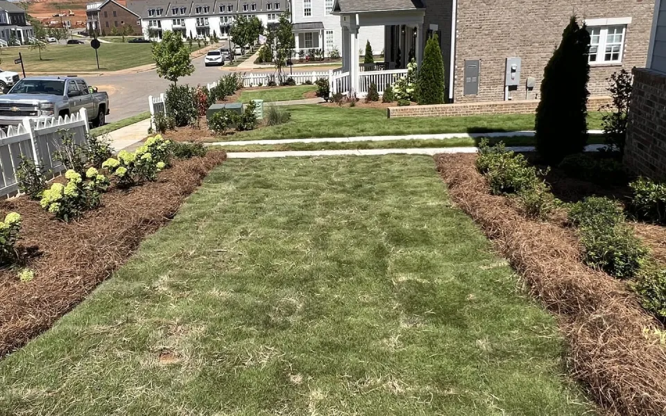 landscaping sod install athens al